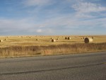 ROUIND BALES_IMG_8583.JPG